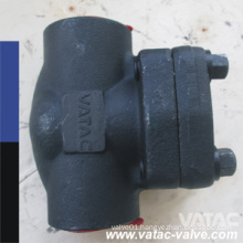 Thread NPT and Welding Sw/Bw Forged Swing Check Valve